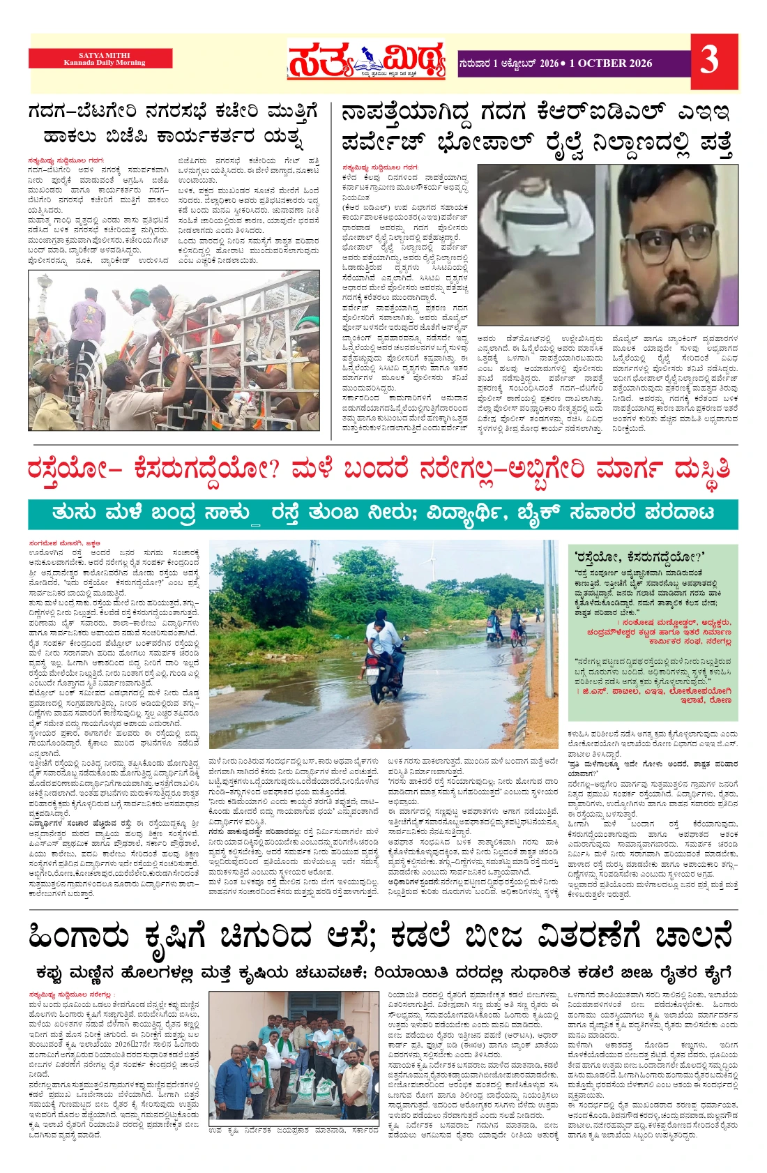 Page 3